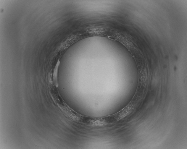 X0000073760755200608241411