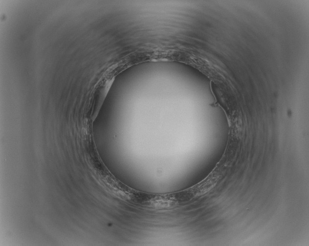 X0000073760756200608241412