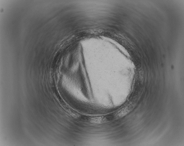 X0000073760757200608241412