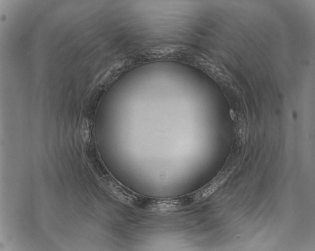 X0000073760758200608241412