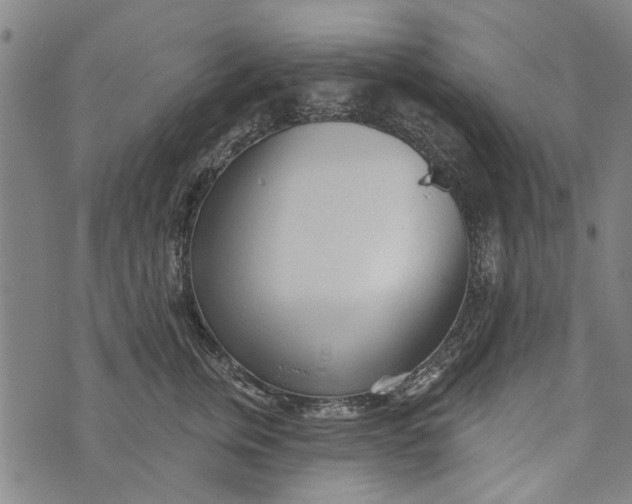 X0000073760759200608241412