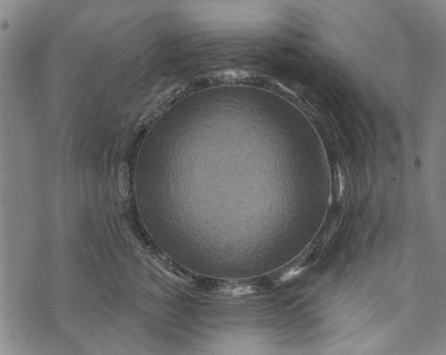 X0000073760760200608241412