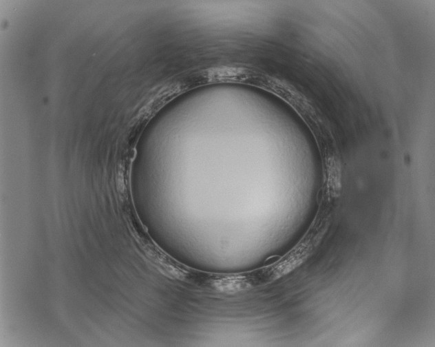 X0000073760761200608241412