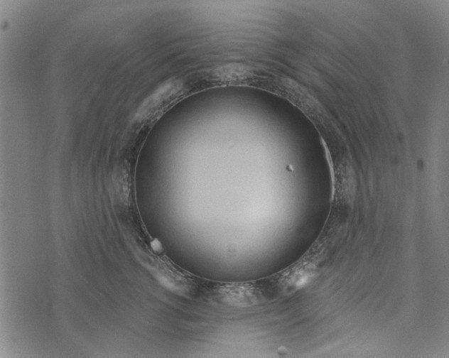 X0000073760762200608241412