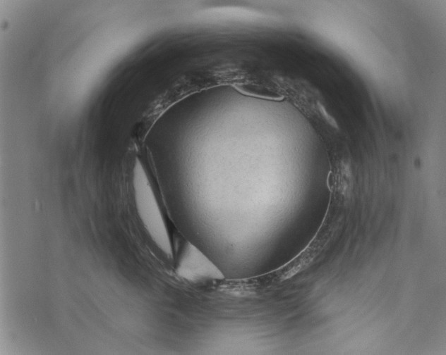 X0000073760763200608241412