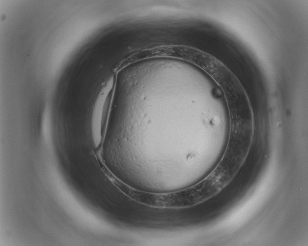 X0000073760765200608241412