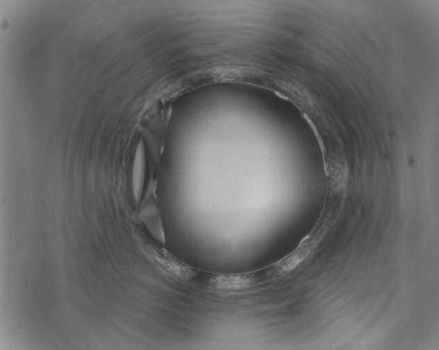 X0000073760766200608241412