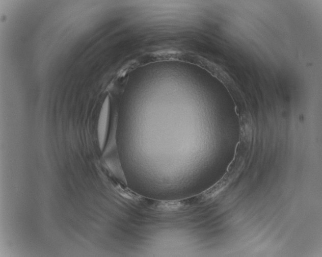 X0000073760767200608241412