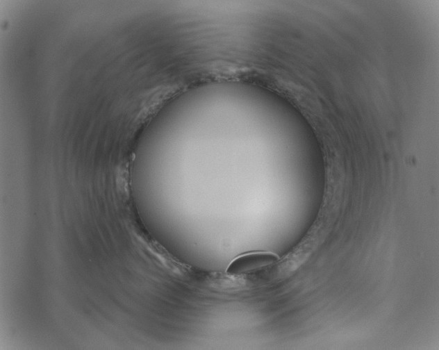 X0000073760768200608241412