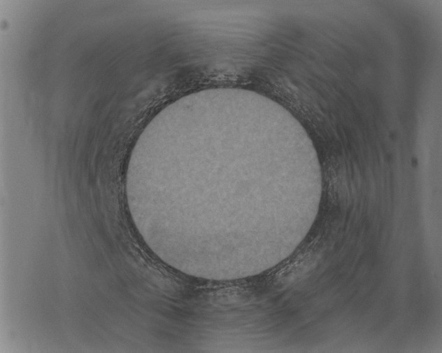 X0000073760769200608241411