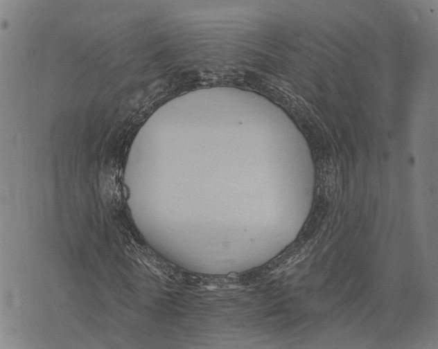 X0000073760770200608241411