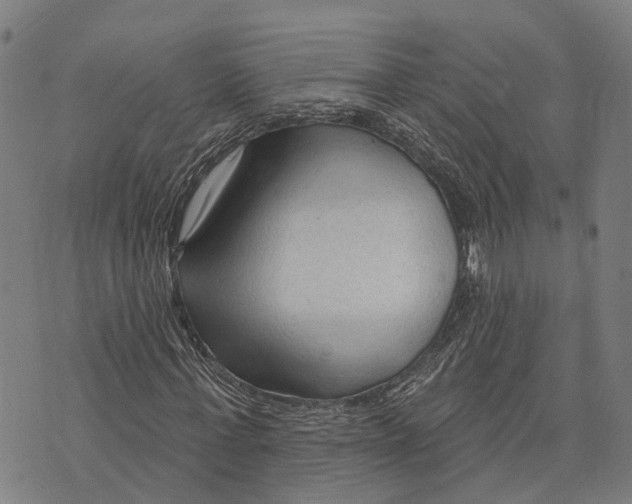 X0000073760771200608241411