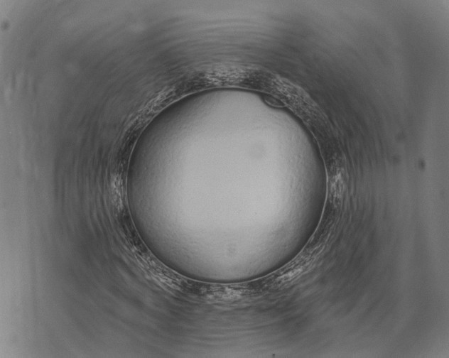 X0000073760772200608241411