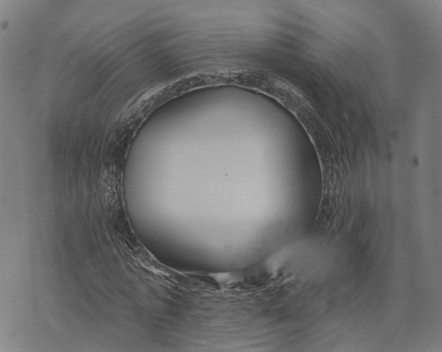 X0000073760773200608241411