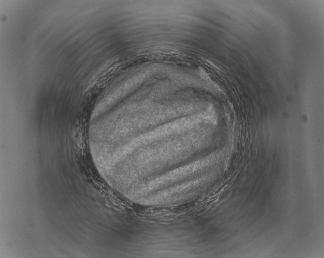 X0000073760774200608241411