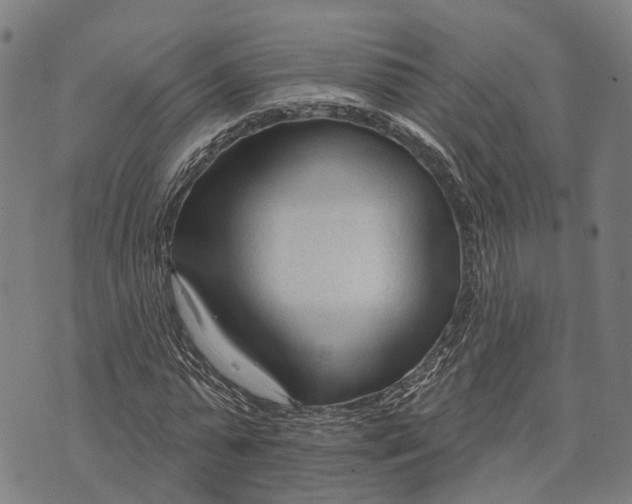 X0000073760775200608241411