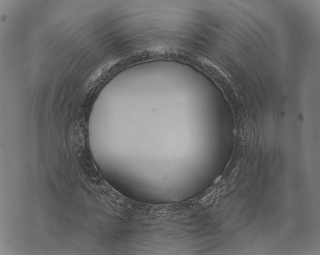 X0000073760776200608241411