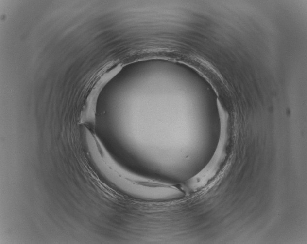 X0000073760777200608241411