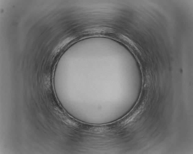 X0000073760778200608241411