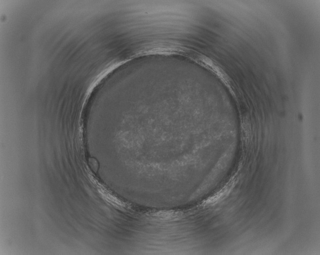 X0000073760779200608241411