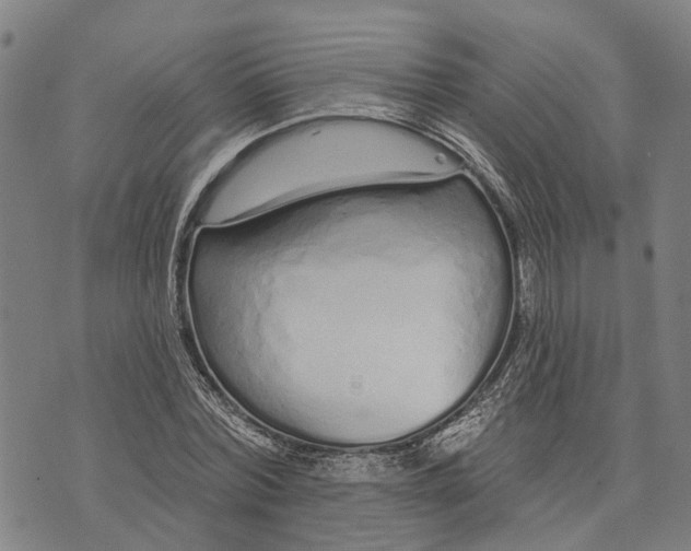 X0000073760780200608241411