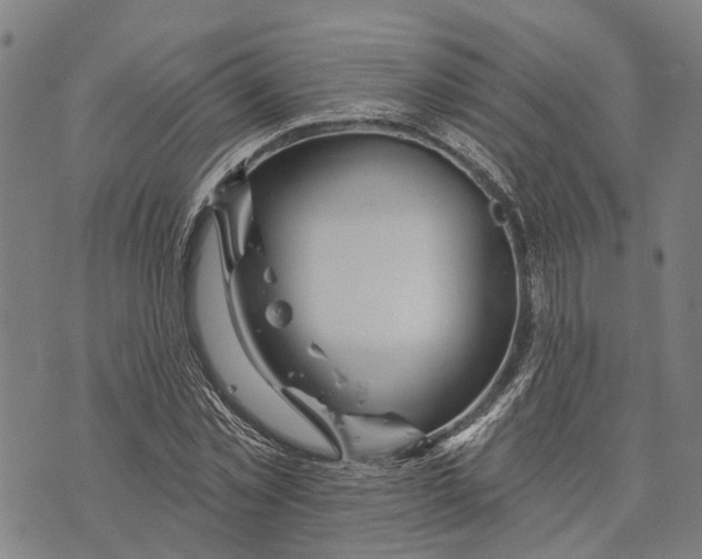 X0000073760781200608241411