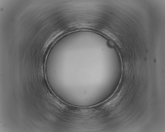 X0000073760782200608241411