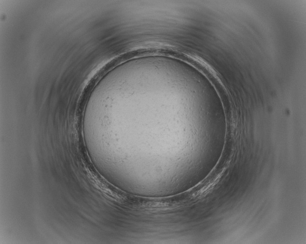 X0000073760783200608241411