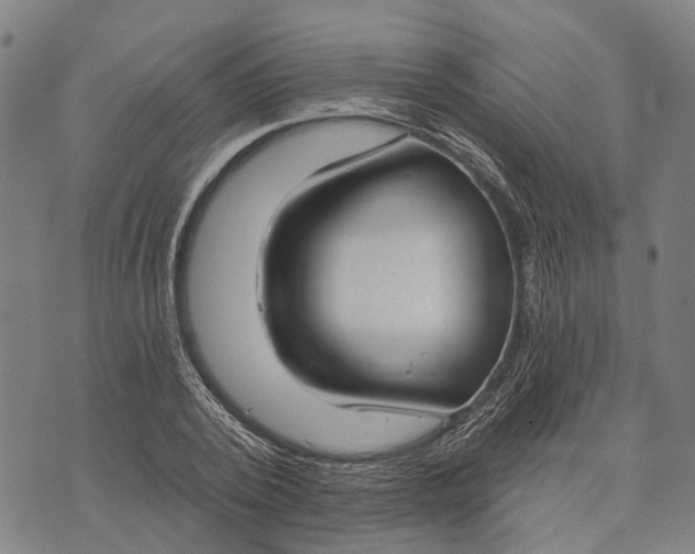 X0000073760784200608241411