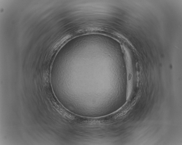 X0000073760785200608241411