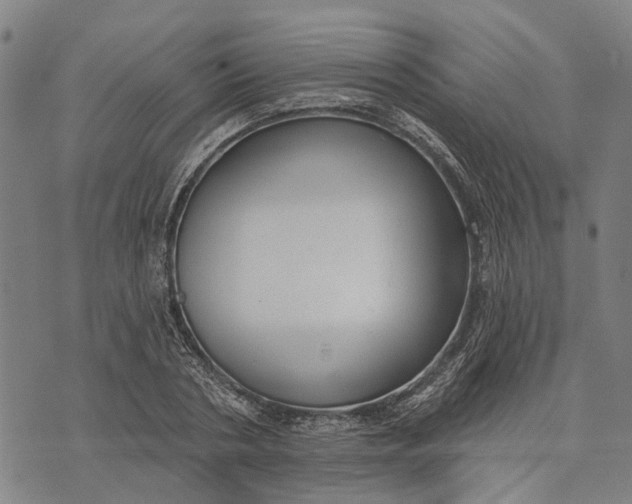 X0000073760786200608241411