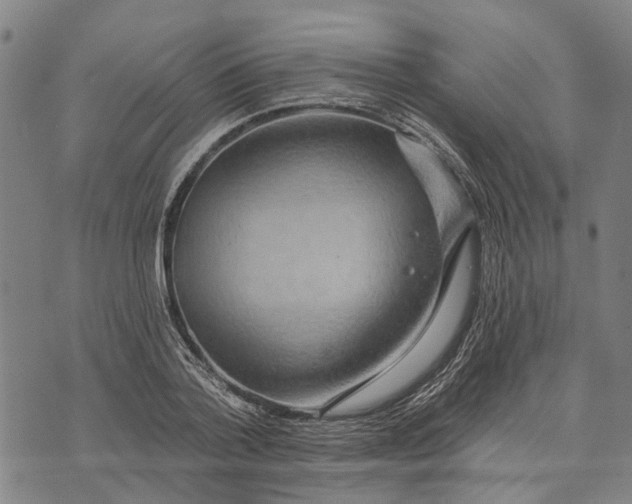 X0000073760788200608241411