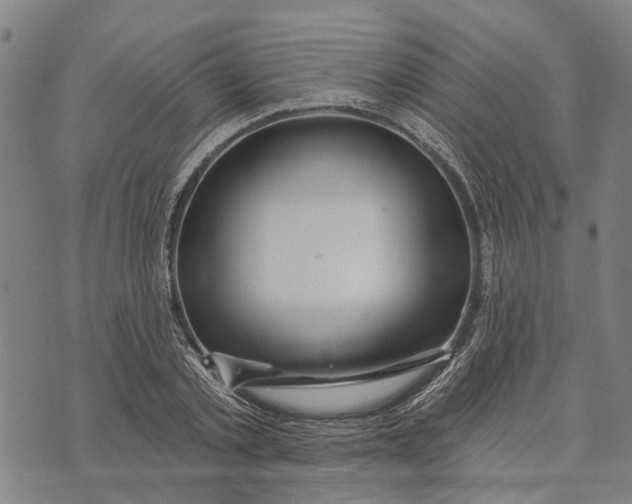 X0000073760789200608241411