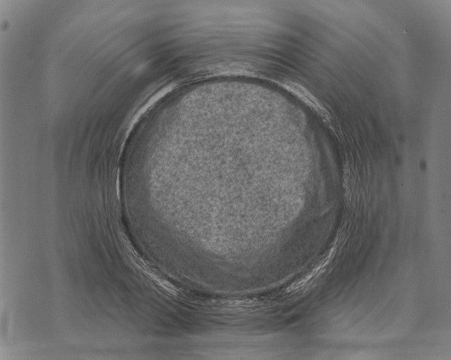 X0000073760790200608241411