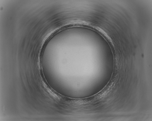 X0000073760791200608241411