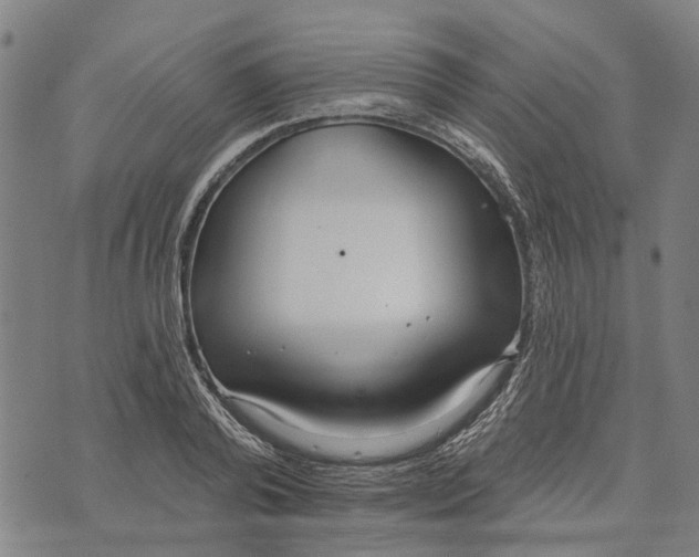 X0000073760792200608241411