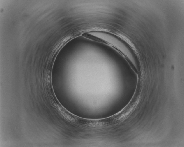 X0000073760793200608241411