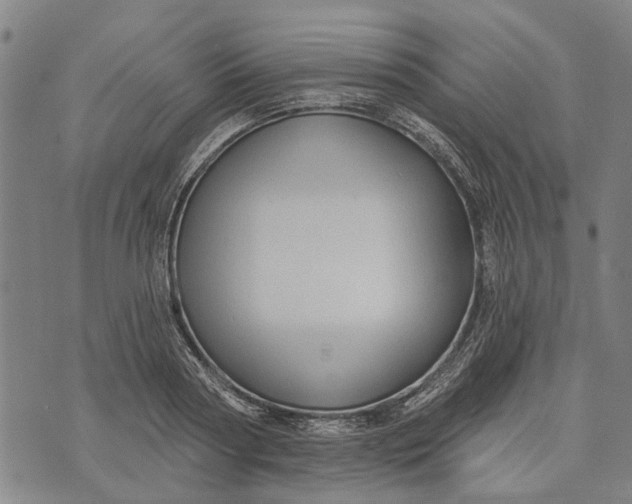 X0000073760794200608241411