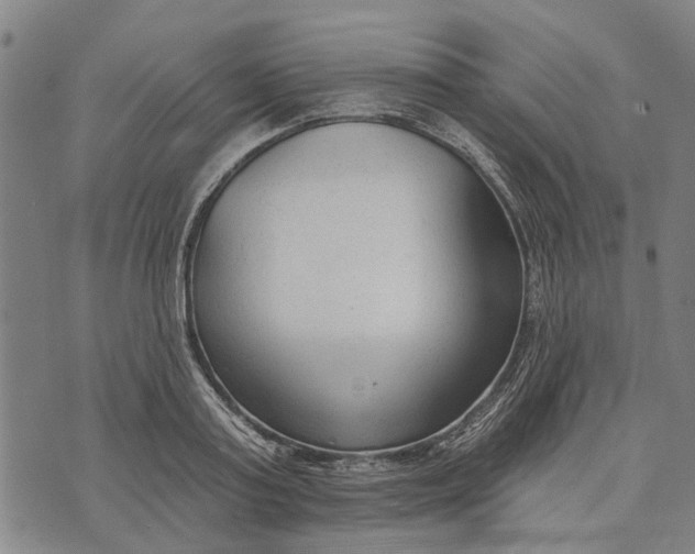 X0000073760795200608241411