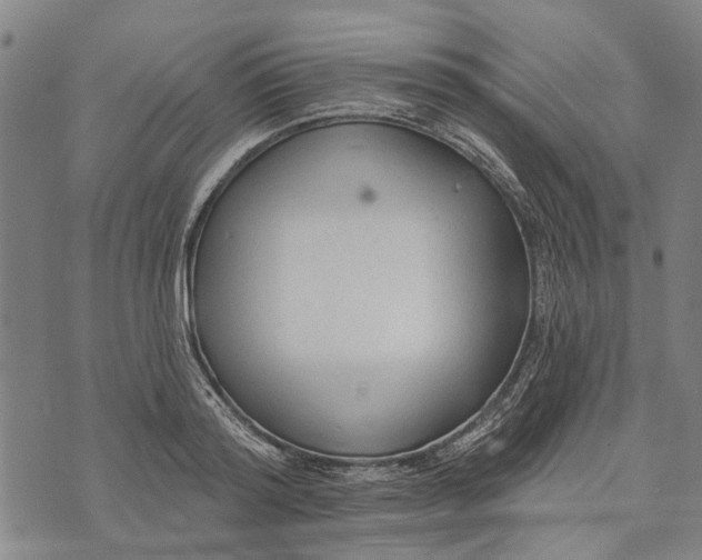 X0000073760796200608241410