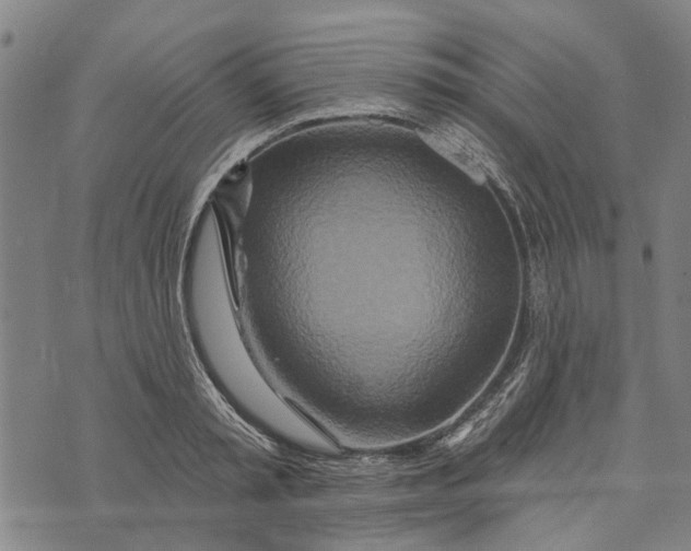 X0000073760797200608241410