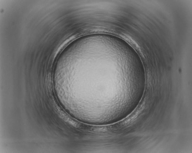 X0000073760798200608241410