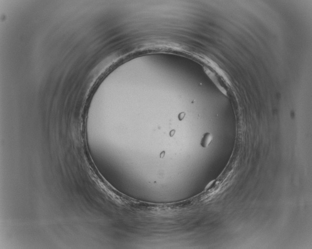 X0000073760799200608241410