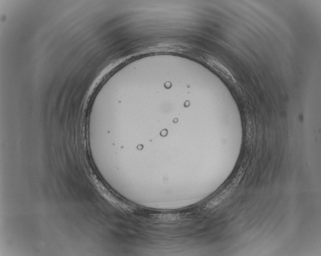 X0000073760800200608241410