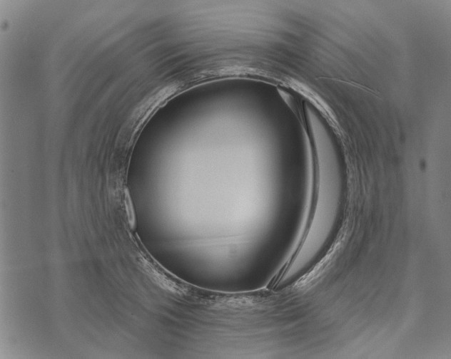 X0000073760801200608241410