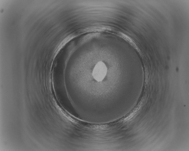 X0000073760802200608241410