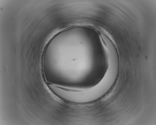 X0000073760803200608241410