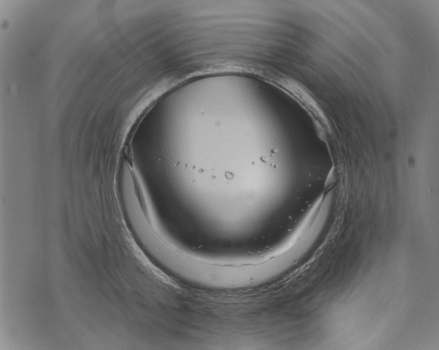 X0000073760805200608241410