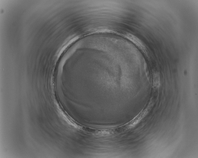 X0000073760806200608241410