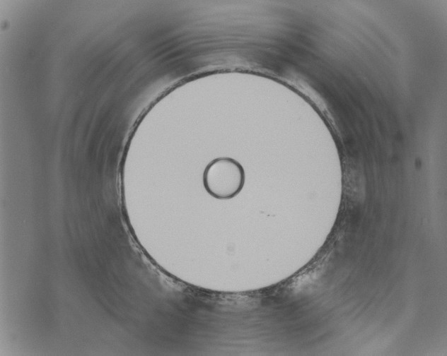 X0000073760807200608241410